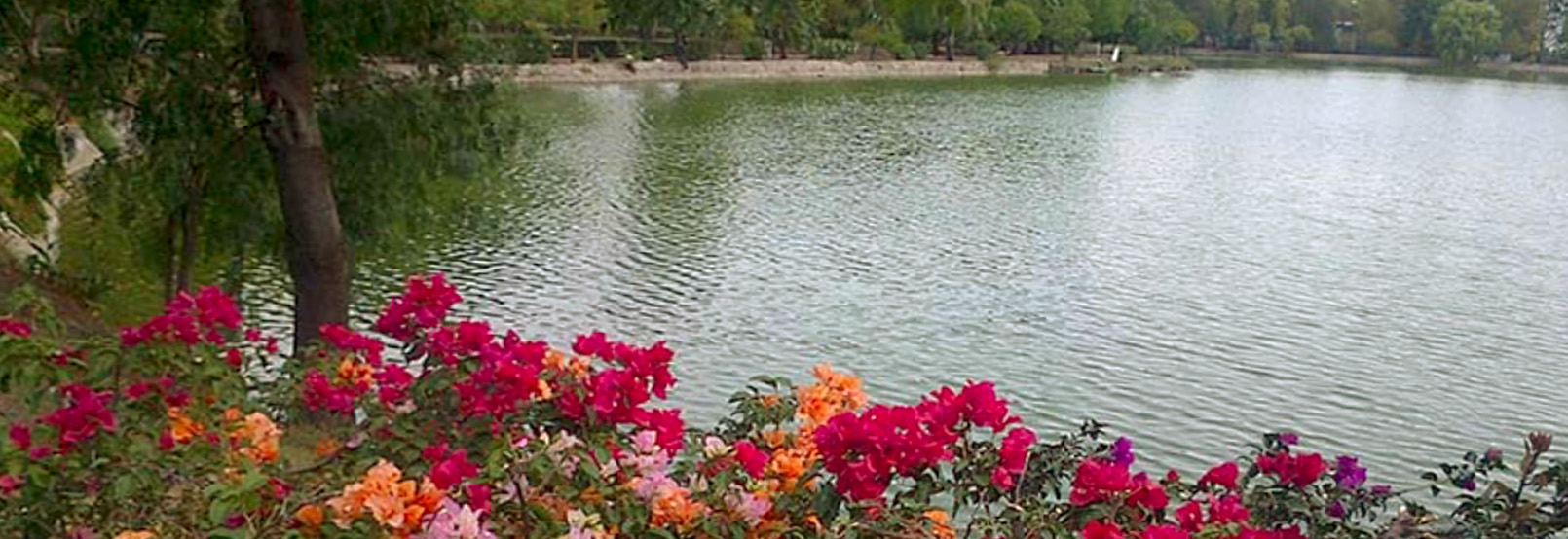 banner